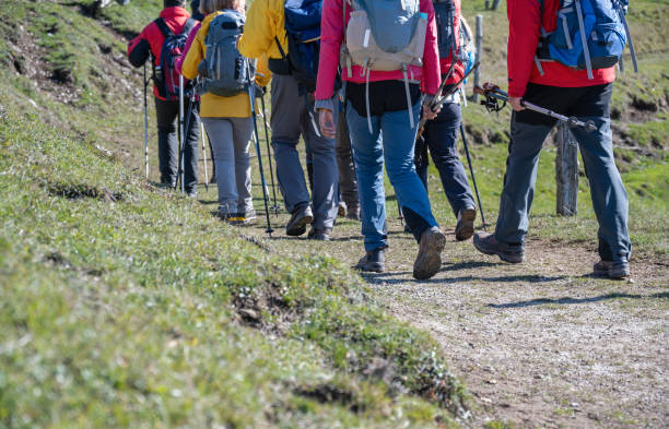 istock Group Of Hikers Walking On Grassy Hill 1396702593