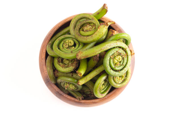 istock Fiddlehead or Ostrich Fern Isolated on a White Background 1396703297