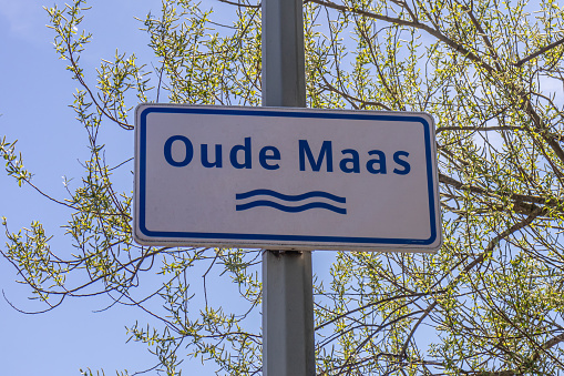 Metal sign on a pole with the inscription Oude Maas, which is the name of a river in Holland, branches with sparse green foliage and a blue sky in the background, the Netherlands