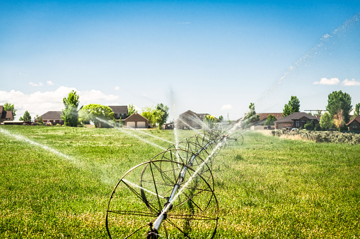 Residential houses in the background behind a long, rolling irrigation sprayer, keeping water on a field in Utah, USA.