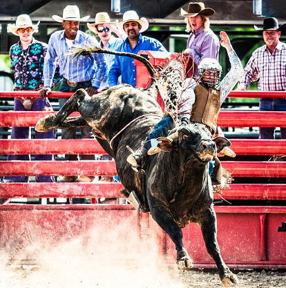 Cowboy riding a bull at rodeo arena