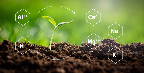 Depiction of determining soil balancing that enhances soil health and leads to benefits in plants yield