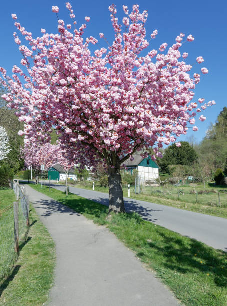 Solingen-Unterrueden,Bergisches Land,Germany