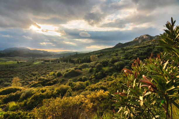 Beautiful green valley with olive trees and other mediterranean plants in Kusadasi in Turkey - during peaceful golden hour, mountains and amazing colorful clouds above. Beautiful green valley with olive trees and mediterranean plants in Kusadasi in Turkey - during peaceful golden hour, mountains and amazing colorfull clouds in background, peaceful. blue yellow lights stock pictures, royalty-free photos & images