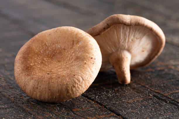 istock Fresh Mushrooms on a Rustic Wooden Table 1396708423