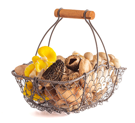 A Basket full of a Variet of Different Fresh Mushrooms Isolated on a White Background