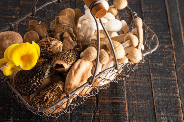 uma variedade de cogumelos frescos em uma mesa de madeira rústica - chanterelle edible mushroom gourmet uncultivated - fotografias e filmes do acervo