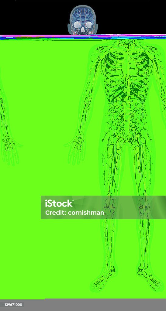 Xray - Royalty-free Imagem de raios X Foto de stock