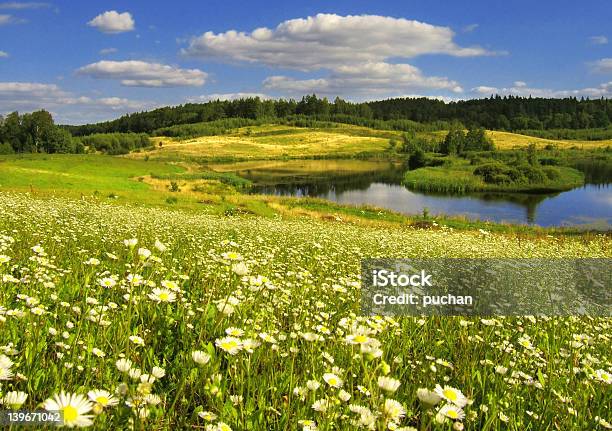 Giallo Floreale Prato Di Lago - Fotografie stock e altre immagini di Abbigliamento mimetico - Abbigliamento mimetico, Albero, Ambientazione esterna