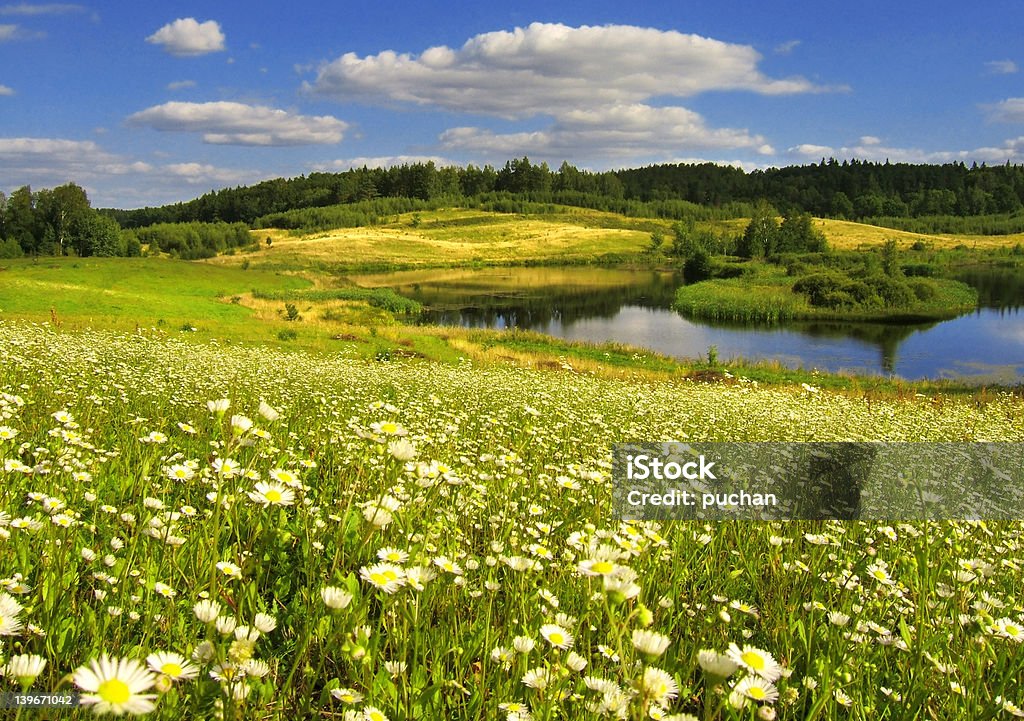 flowery Prado amarelo com Lago - Royalty-free Ao Ar Livre Foto de stock