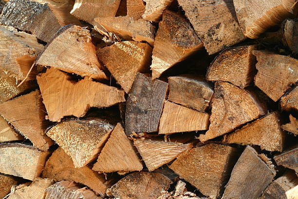 firewood stock photo