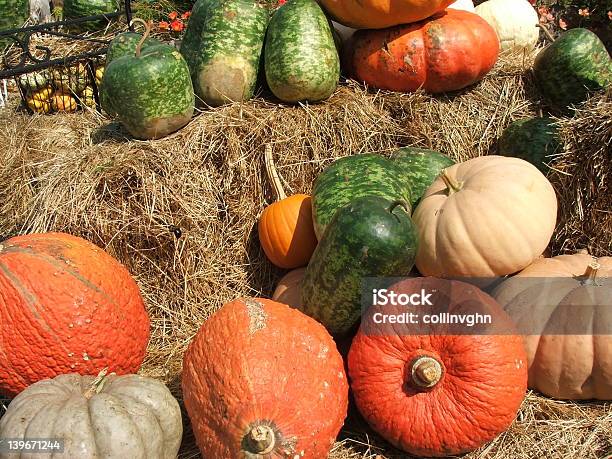 Colorato Pumpkins E Gourds - Fotografie stock e altre immagini di Autunno - Autunno, Chiuso, Composizione orizzontale