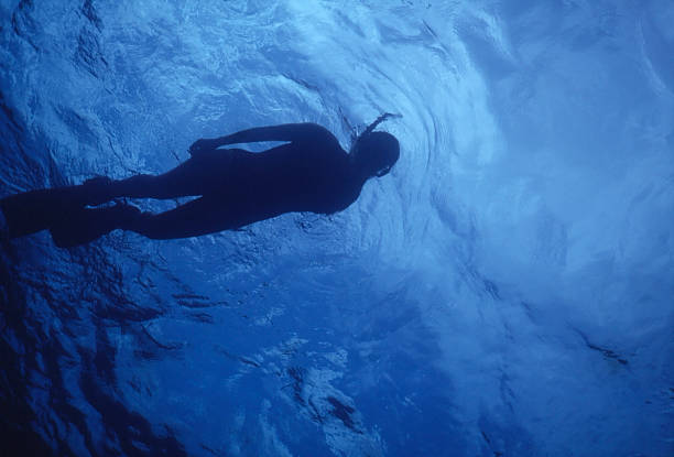 Lo snorkeling - foto stock