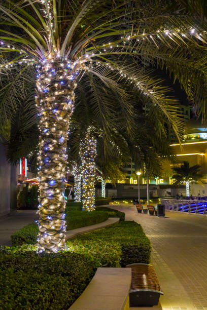 istock DUBAI, UAE - March 8th 2019:Dubai Marina palms illuminated at night 1396712724