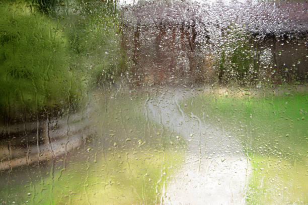 downpour in the garden