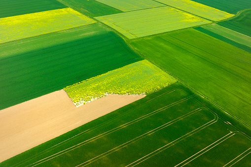 Abstract agricultural fields - view from above