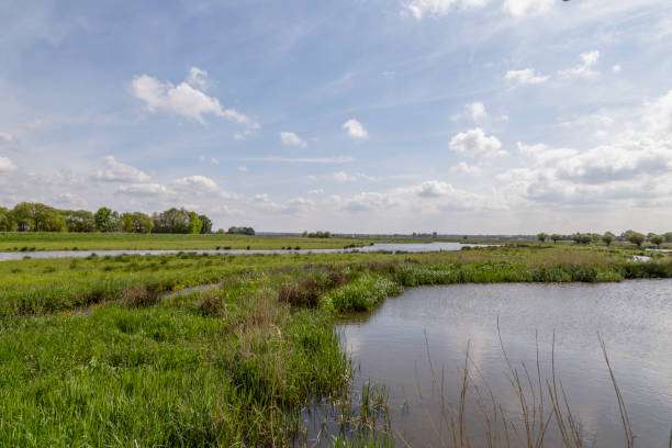 istock Nature reserve with a small river  under a beautiful blue cloud cover. 1396714253