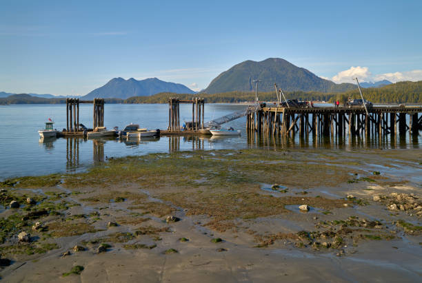 istock Tofino Harbour Authority Dock BC Canada 1396714348