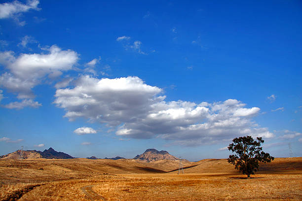 Background of sitter buttes with a clear blue sky The World's Smallest Mountain Range. The Sutter Buttes are a small circular complex of eroded volcanic lava domes which rise as buttes above the flat plains of the Central Valley of Northern California in the United States. butte rocky outcrop stock pictures, royalty-free photos & images