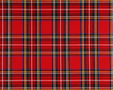 Scottish tissue - red and blue