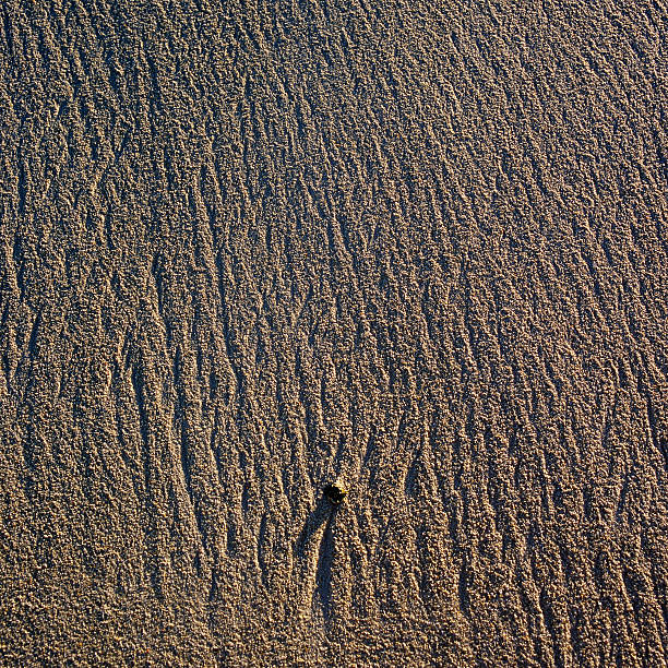 Beach sand in the Maldives islands 8 stock photo