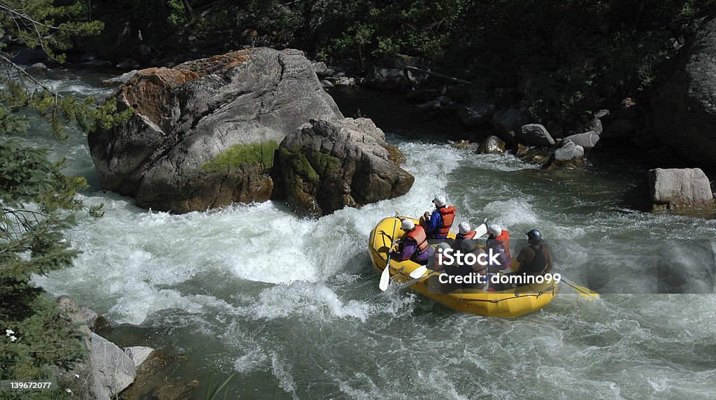 Gallatin River Rafting auf dem - Lizenzfrei Floßfahrt Stock-Foto