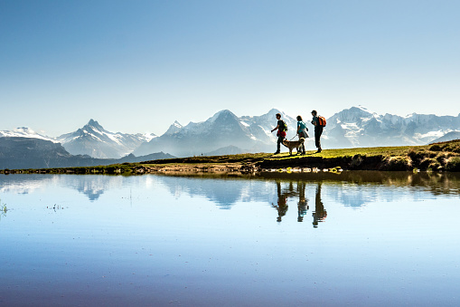 Niederhorn, Canton of Bern, Switzerland - September 21, 2019 : Niederhorn above Lake Thun. Three hikers with dog in front of the mountains Eiger, Mönch and Jungfrau, reflected in a pond. Bernese Oberland, Switzerland