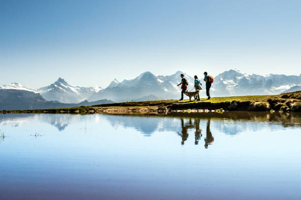 Niederhorn above Lake Thun. Three hikers with dogs in front of the mountains Eiger, Mönch and Jungfrau, mirrored in a pond. Bernese Oberland, Switzerland stock photo