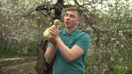 A young man holds a real duckling in his arms. A man in the garden with a bird. 4k