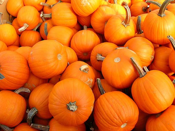 istock Box full of Pumpkins 139672212
