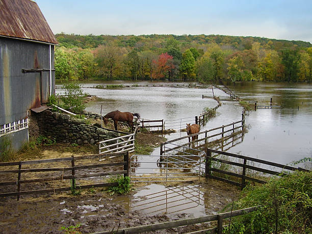 Willimantic River has overflowed its banks after 9 days of non-stop rain. Connecticut, October 2005.
