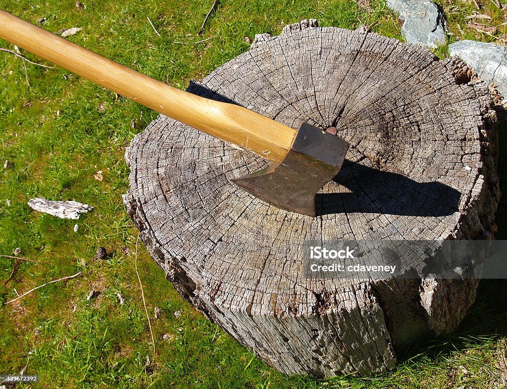 Él y madera - Foto de stock de Aire libre libre de derechos