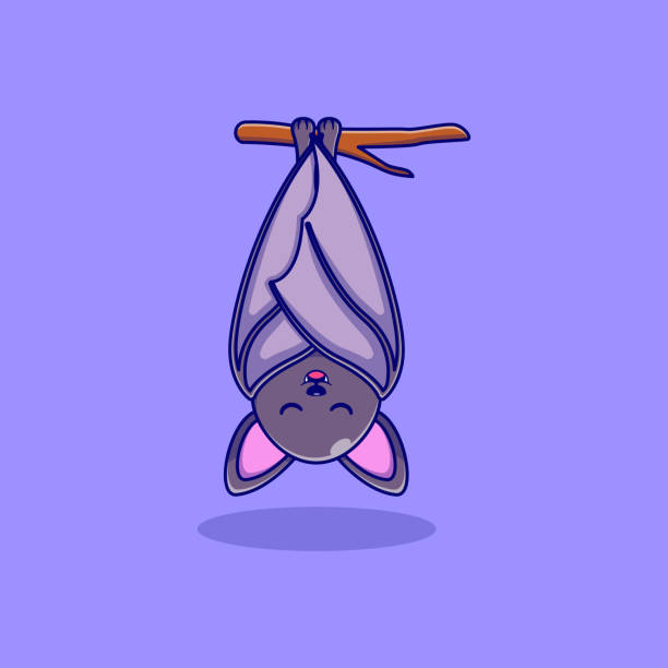 Cartoon Of A Bats Hanging Upside Down Illustrations, Royalty-Free Vector  Graphics & Clip Art - iStock