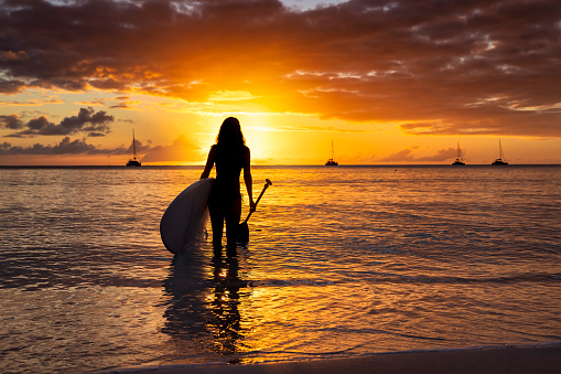 Silhouette of a sportive woman standing in the sea with a paddleboard during a colorful sunset