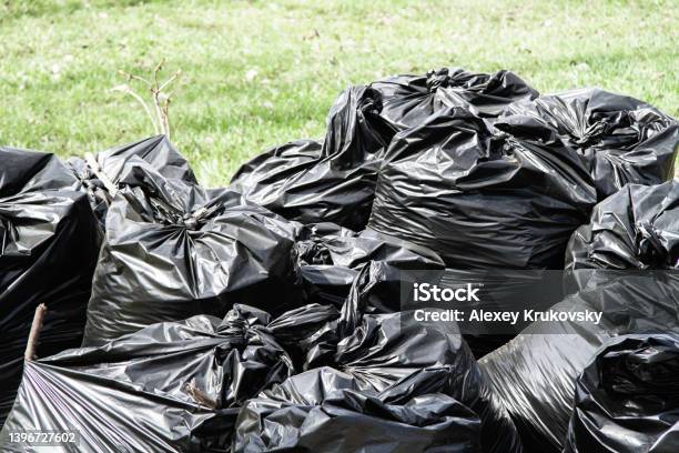 https://media.istockphoto.com/id/1396727602/photo/city-street-cleaning-garbage-in-black-bags-on-the-streets-of-the-city-recycling.jpg?s=612x612&w=is&k=20&c=ioROzK8jyCmznh_waFfFkOpXb1c_uRHCRjeFCm4e-PI=