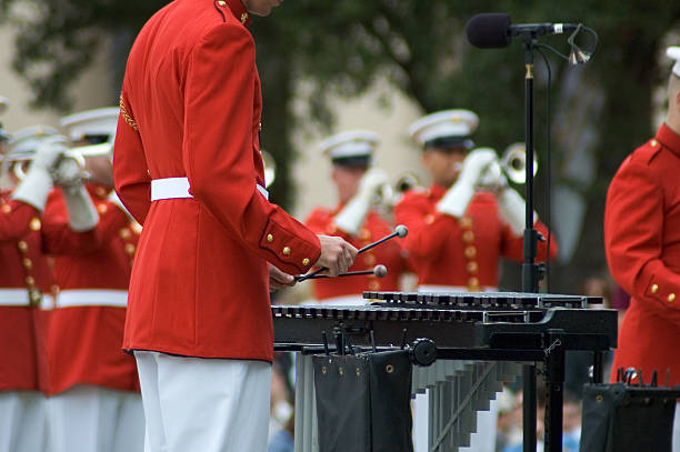 Mallets Playing 990+ Drum Mallet Stock Photos, Pictures & Royalty-Free Images - iStock