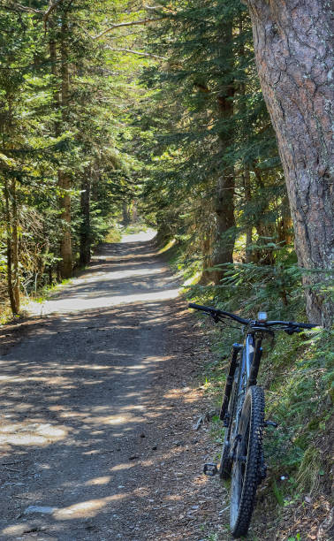 istock Discovering fantastic forest with mountain bike. No 1396728795