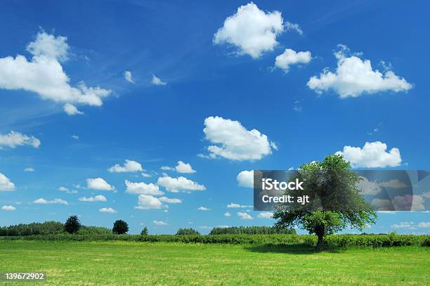 Sommerlandschaft Stockfoto und mehr Bilder von Baum - Baum, Blau, Farbbild