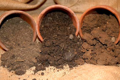 sandy soil, loamy soil, and clay soil in terra cotta pots