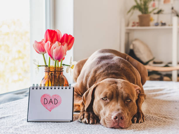 istock Charming puppy and notepad with the word DAD 1396734534