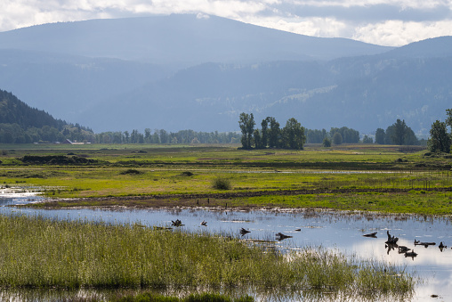 Wide open spaces and beautiful landscape scenery at Steigerwald Reserve, Vancouver Washington