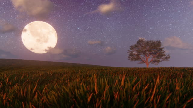 Moon over field