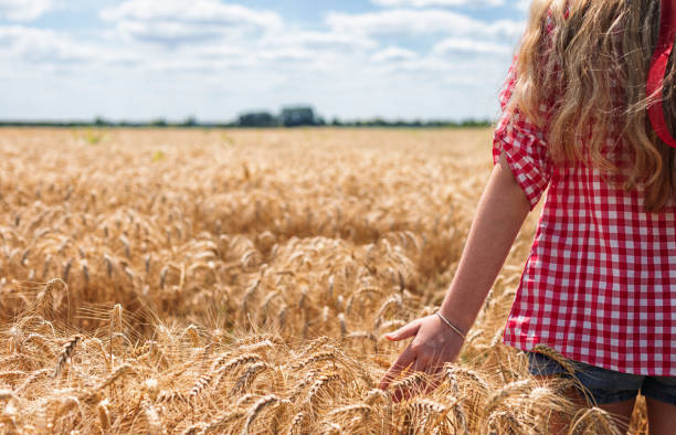 istock Teenage girl touching wheat plants while walking through field 1396736241