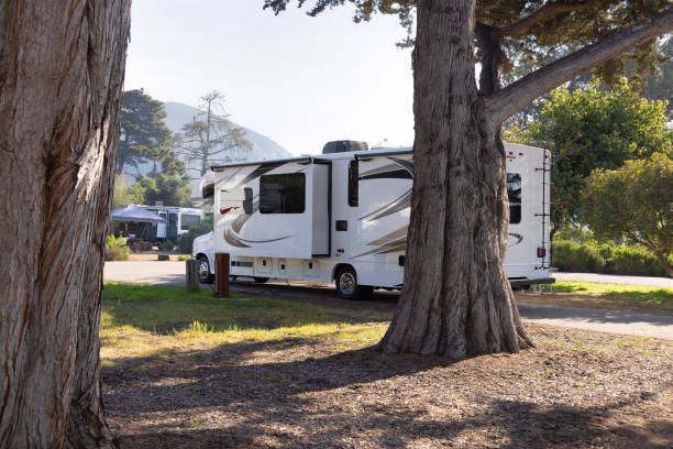 Motor home with slideout parked in campsite between two large trees. Second motor home in the background stock photo