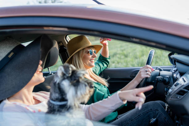 istock Traveling in great company 1396741679