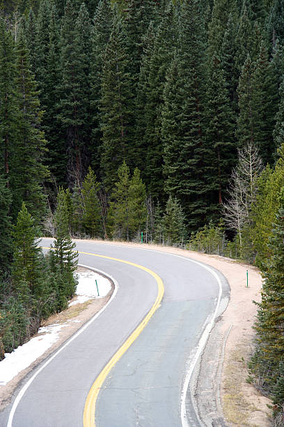 Mountain Road Framed with Pine Trees stock photo