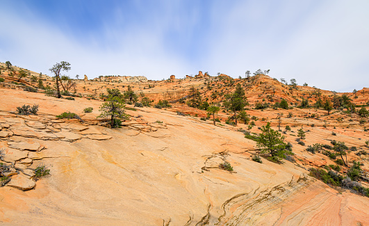 View from Many Pools Trail