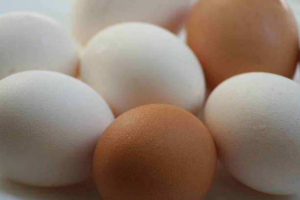 eggs stock photo