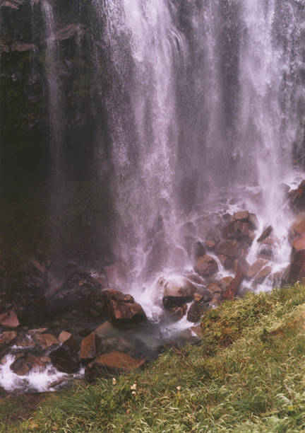 Wodospad w Parku Narodowym Mount Rainer – zdjęcie