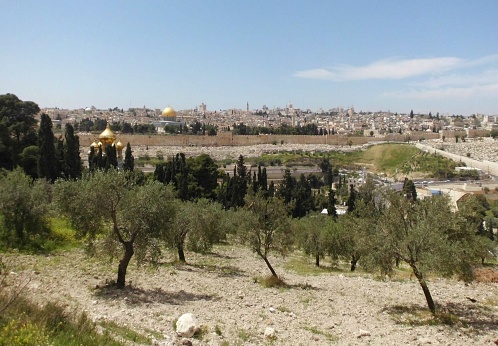 View of Jerusalem from the Garden of Olives, Jerusalem, Israel
